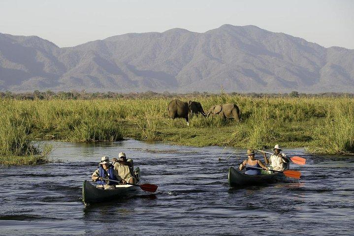 Dagstur til Arusha National Park