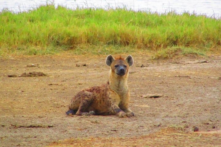 2 Days Safaris to Mount Kenya Fairmont Safari Club