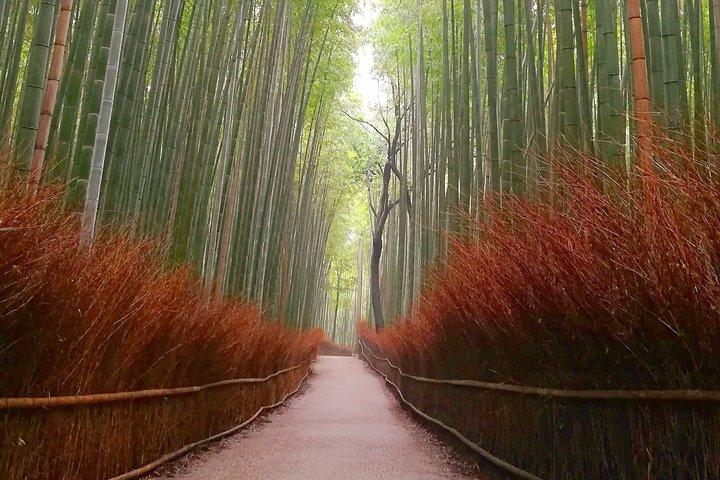 5 points forts de Kyoto Excursion à vélo d'une journée (option vélo électrique)
