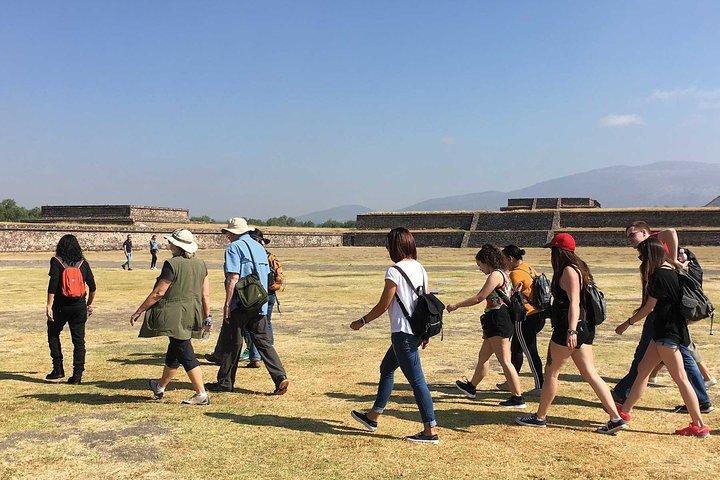 Teotihuacan Archeological Site Afternoon Private Tour