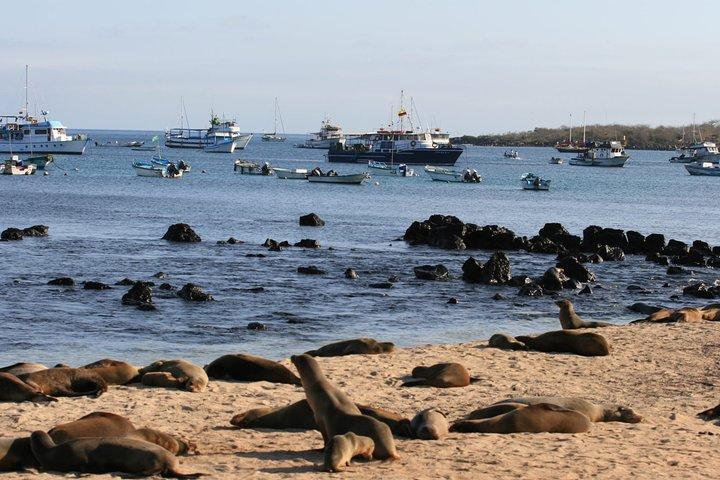 Ganztägiges Schnorcheln und Angeln auf der Insel Pinzon