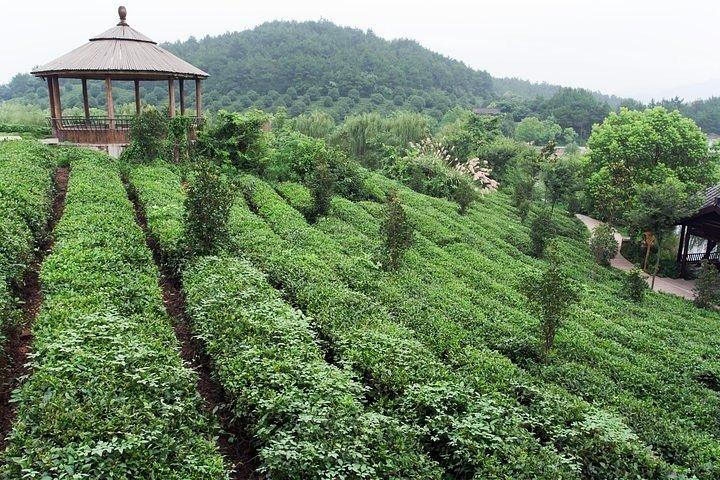 Visite privée d'une journée à Hangzhou