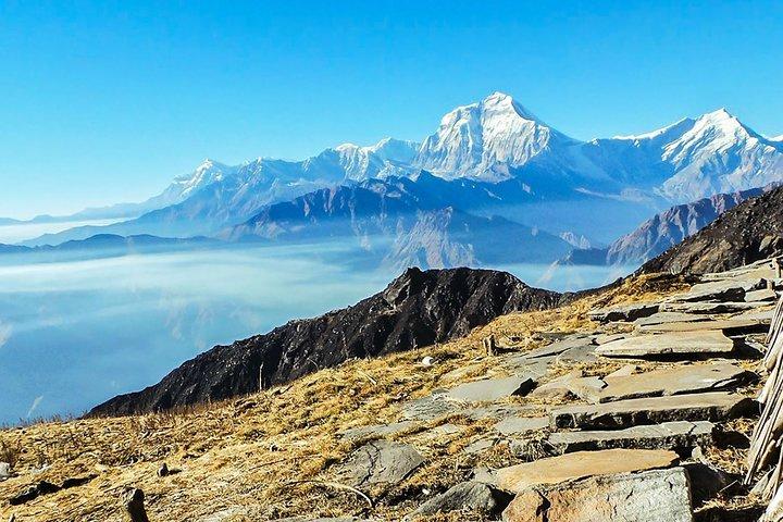 Khopra Ridge Community - 13 Tage