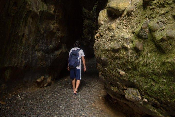 Dehradun - Transferts + Hôtel + Visites