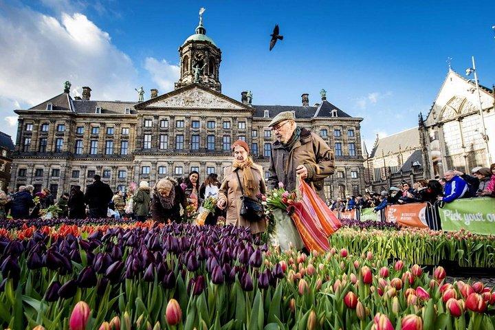 e-Scavenger jagt Amsterdam: Udforsk byen i dit eget tempo