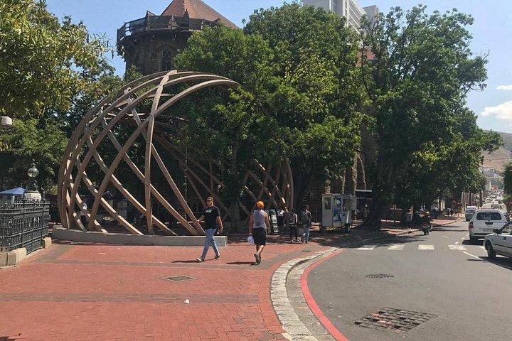 ケープワインランドとキスタンボッシュ植物園の1日ツアー。
