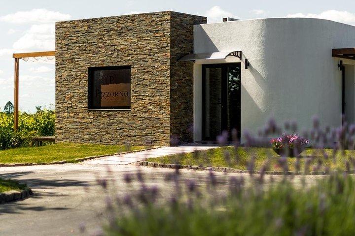 Montevideo Wine Tour com degustação e almoço