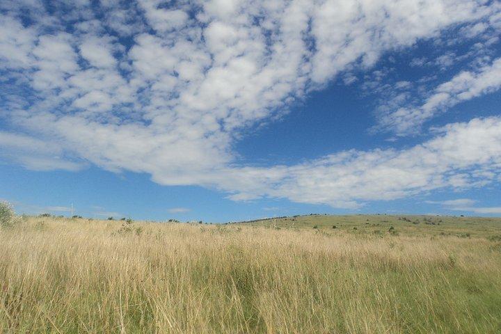 3-dages Budget Masai Mara Safari på vej for familier på 4+