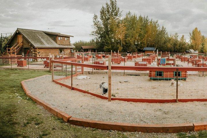 歴史あるトレイルブレーカー犬舎の夏の犬舎訪問