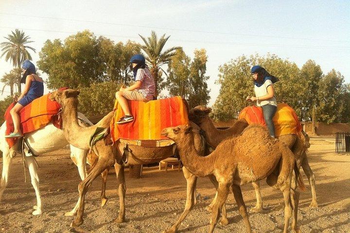 Passeio de camelo em Marrakech