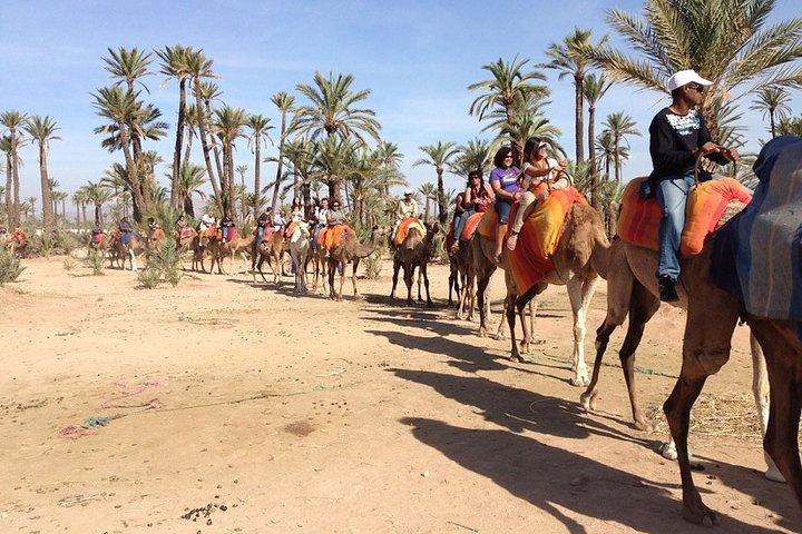 Passeio de camelo em Marrakech