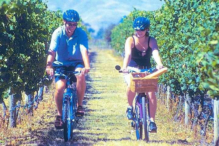 Hawkes Bay wijnmakerijen Self-Guided Bike Tour