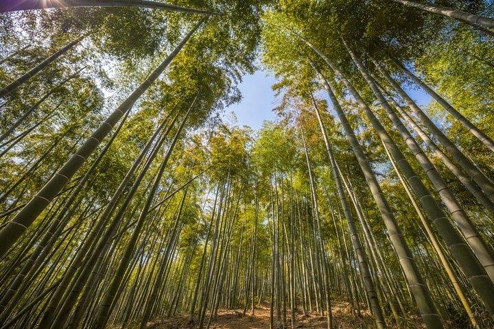 Transferência privada para Mogan Mountian de Hangzhou