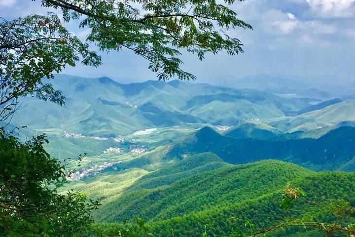 Privat rundtursöverföring till Mogan Mountain från Hangzhou