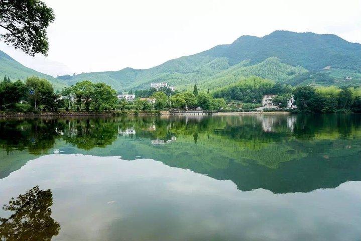 Excursion privée d'une journée à la montagne Mogan au départ de Hangzhou