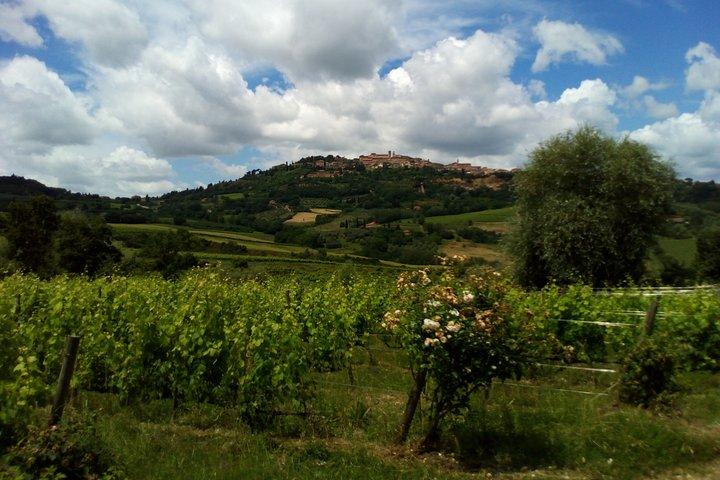 Montepulciano und Pienza Tuscany Wine & Cheese Fullday aus Rom