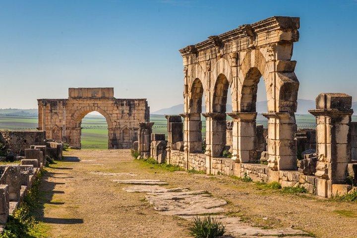 Ganztägiger archäologischer Park der antiken Ruinen von Ostia ab Rom