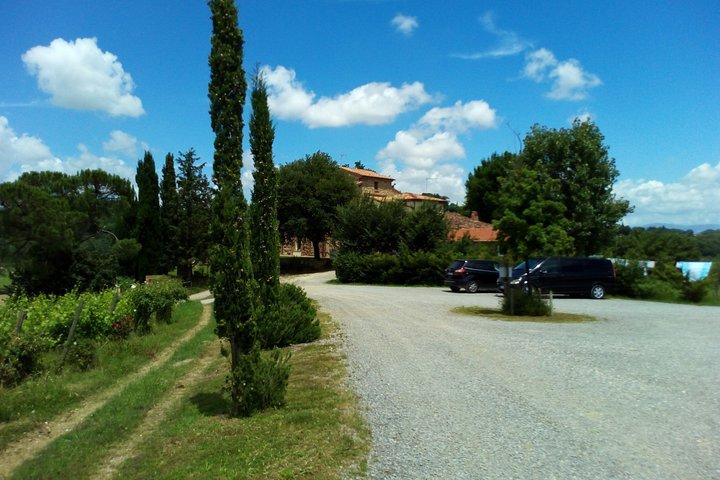 Montepulciano und Pienza Tuscany Wine & Cheese Fullday aus Rom