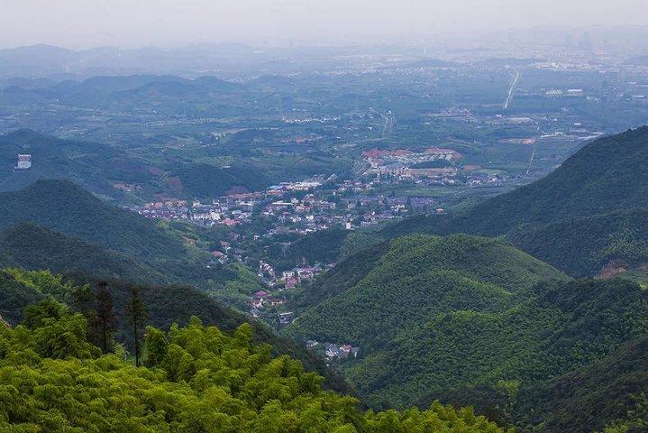 Excursion privée d'une journée à la montagne Mogan au départ de Hangzhou