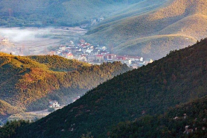 Excursion privée d'une journée à la montagne Mogan au départ de Hangzhou