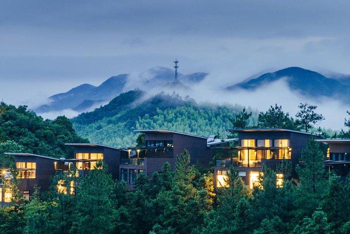 Privat dagstur till Mogan Mountain från Hangzhou