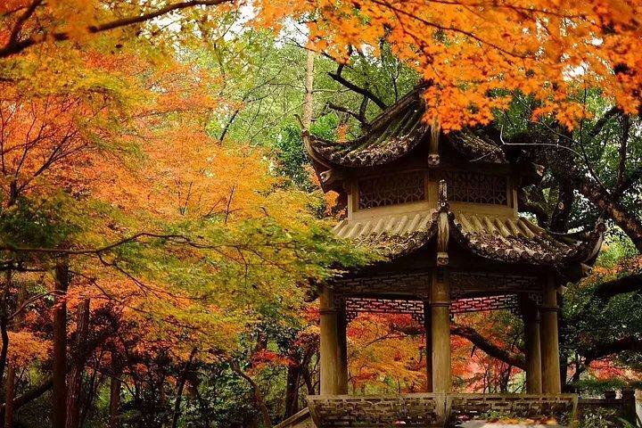 Private Tagestour in Hangzhou mit Westsee, Teedorf, Lingyin-Tempel und vielem mehr