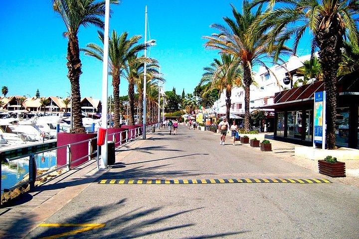 アルブフェイラ発クアルテイラ市場と市街バス旅行