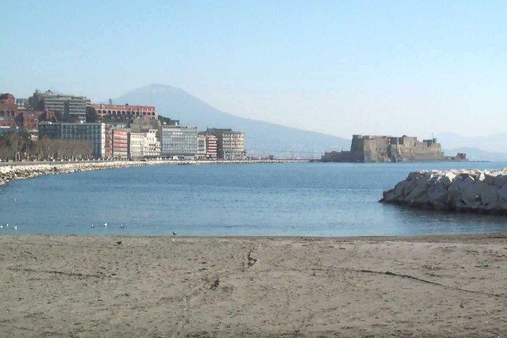 Salerno Shore Excursion: Privat Napoli Dagstur