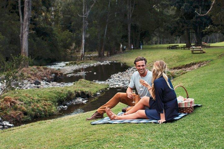 Boutique Luxus Weingut Tour von Gold Coast - Maximum 6 pro Tour
