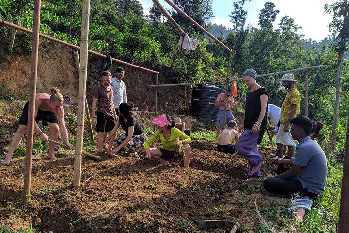 Erleben Sie die Permaculture Organic Farm Tour in der Nähe von Kathmandu