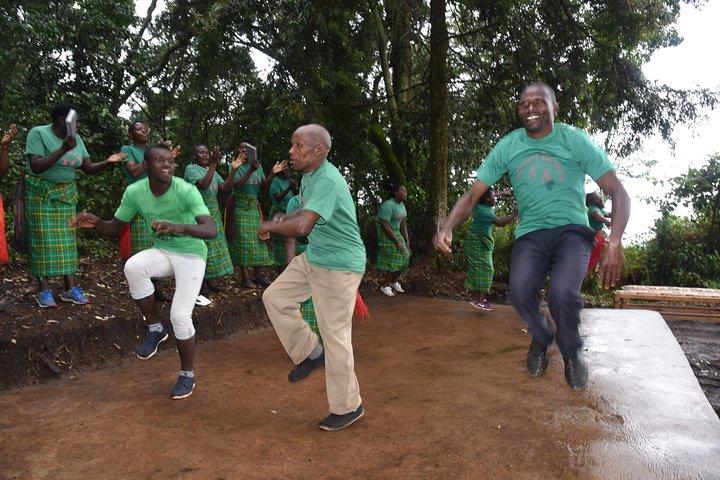 3-dages Gorilla Trekking safari i Bwindi Impenetrable Forest