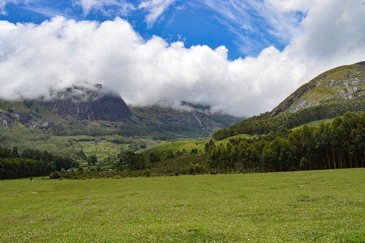 Heldags privat tur til Munnar fra Kochi med frokost