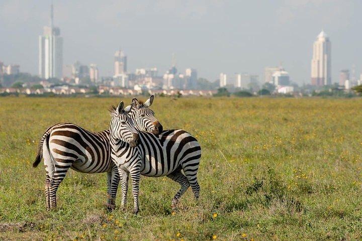 Demi-journée Nairobi National Park Guided Game Drive avec options