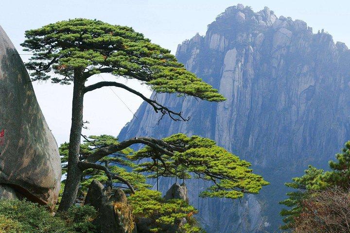 Privat transfer till Yellow Mountain från Hangzhou