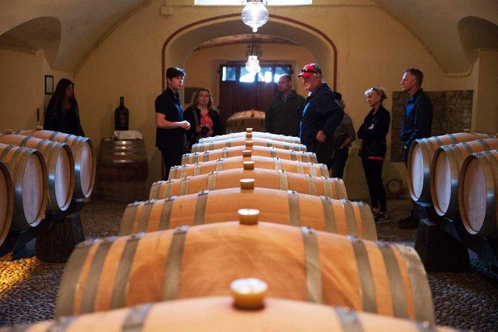 Private Chianti e SuperTuscan Tour 2 vinícolas com almoço leve de Livorno