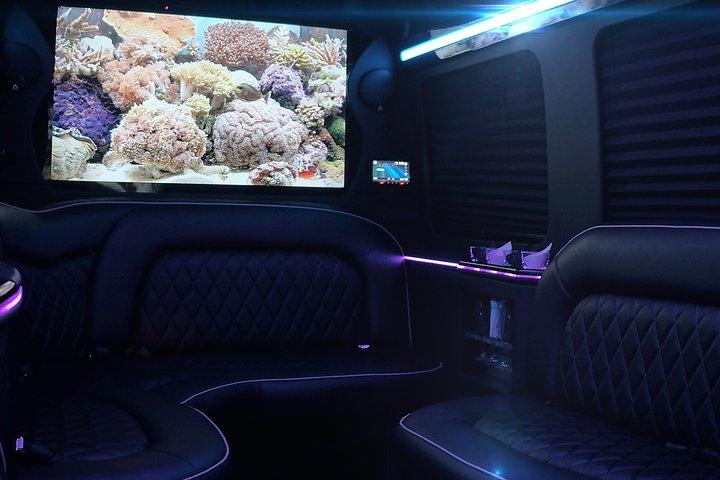 14 Pass Sprinter Party Bus Ft Lauderdale 3 hour , DreamRide
