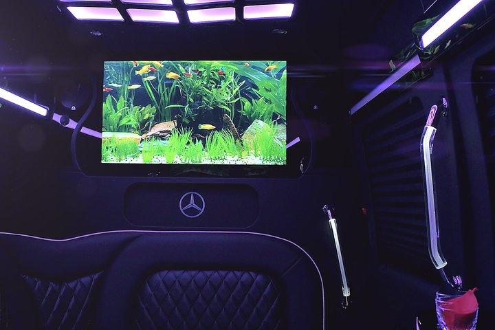 14 Pass Sprinter Party Bus Ft Lauderdale 3 hour , DreamRide