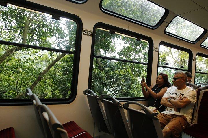 リオ半日：列車で行くキリスト、マラカナン、大聖堂＆セラロン