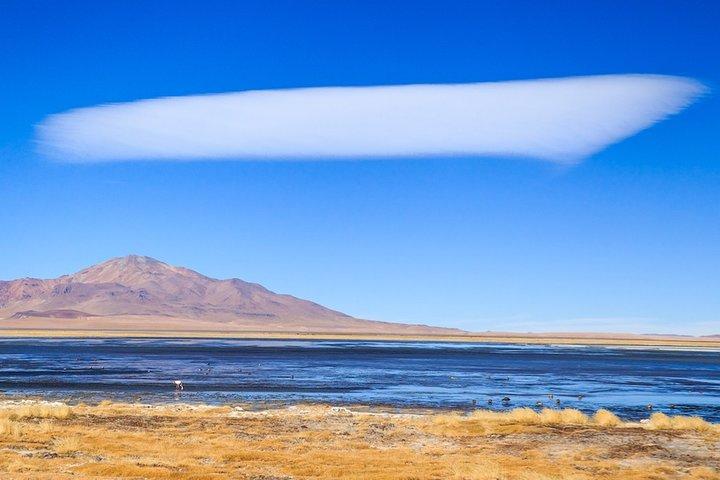 Ganztägige Altiplanic Lagunen + Aussichtspunkt Rote Steine + Salar de Atacama