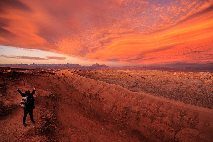 Ganztägige Altiplanic Lagunen + Aussichtspunkt Rote Steine + Salar de Atacama