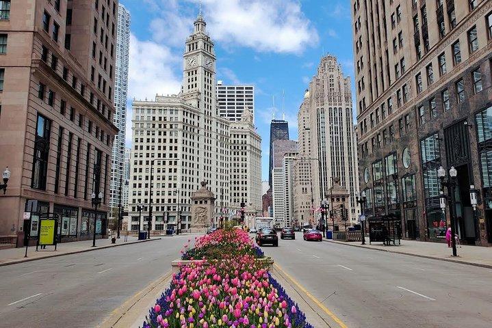 Privat Chicago City Minibus Tour
