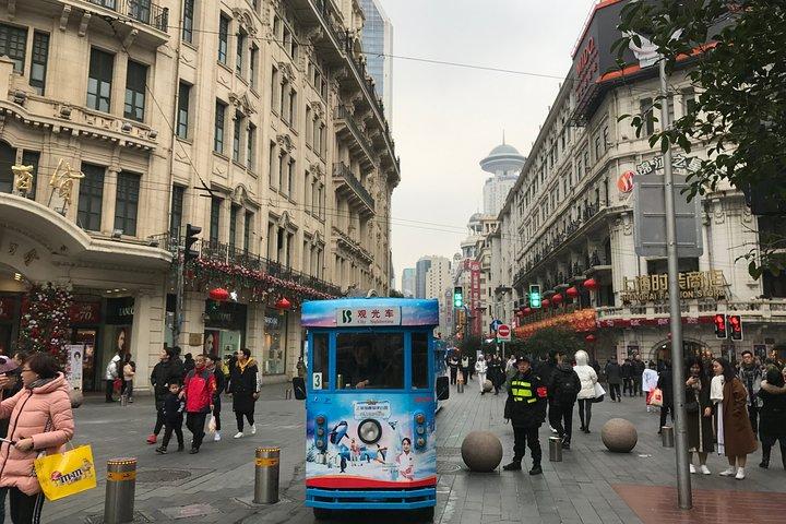 Visite privée de la vieille ville de Fengjing et visite de Shanghai avec prise en charge