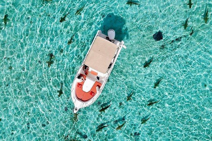 Private Bora Bora Lagoon Experience