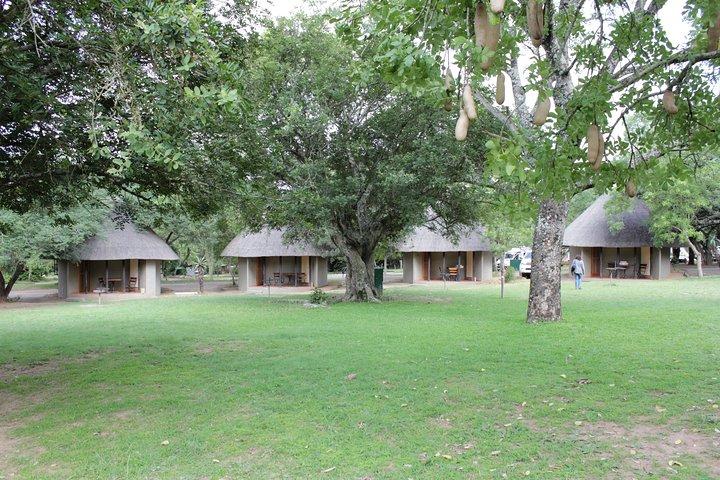 Tour guiado por el Safari guiado a pie por el Parque Nacional Kruger desde Johannesburgo