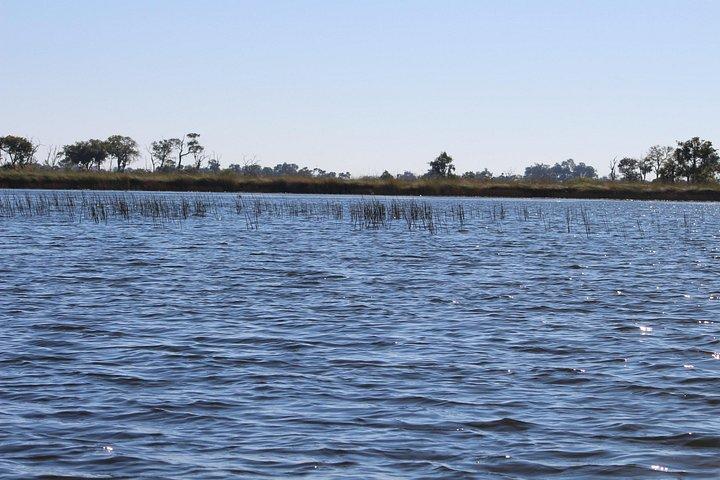 1-Day Okavango Delta Boat Safari from Maun