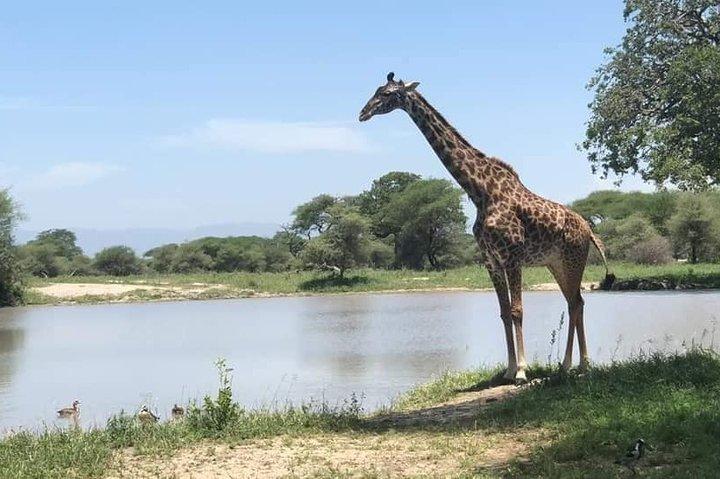 Lake Nakuru Express