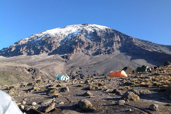 Den bästa 6-dagars Kilimanjaro vandring (Machame rutten) whisky rutt