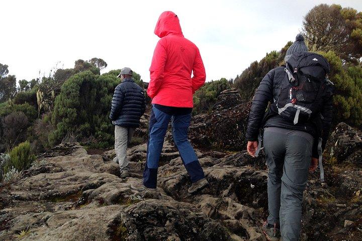 Den bästa 6-dagars Kilimanjaro vandring (Machame rutten) whisky rutt