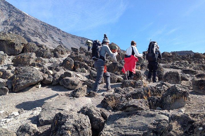 Den bästa 6-dagars Kilimanjaro vandring (Machame rutten) whisky rutt