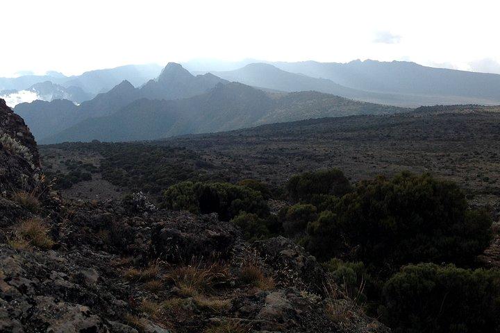 Den bästa 6-dagars Kilimanjaro vandring (Machame rutten) whisky rutt
